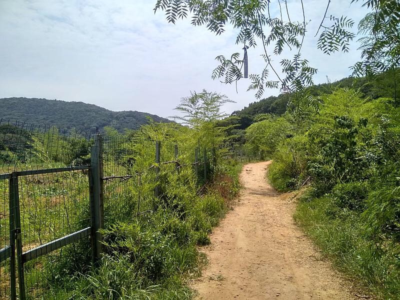 自動化檢測設備廠家軍嶂古道