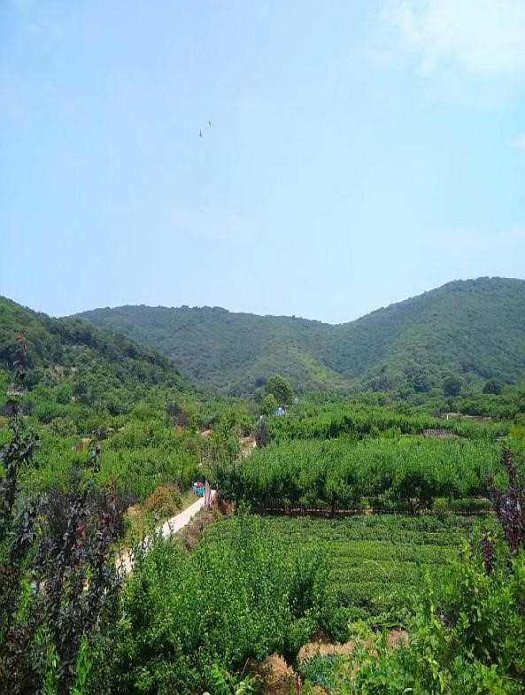 自動化檢測設備廠家軍嶂古道